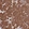 Anti-NPRL2 Antibody