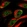 Anti-HOXC11 Antibody