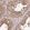 Anti-TTC12 Antibody