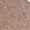 Anti-FUNDC1 Antibody