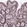 Anti-CAPS2 Antibody
