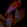 Anti-CAPS2 Antibody