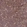 Anti-GOLGA3 Antibody
