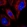 Anti-WDR82 Antibody