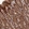 Anti-DEF8 Antibody