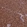Anti-C15orf52 Antibody