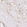Anti-LYVE1 Antibody