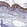 Anti-TMEM161A Antibody