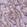 Anti-EGFR Antibody