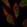 Anti-ZFP69B Antibody