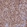 Anti-DNPEP Antibody