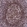 Anti-PARP1 Antibody