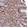 Anti-AMER3 Antibody