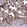 Anti-MOCS1 Antibody