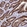Anti-FBXW5 Antibody