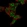 Anti-FAM120C Antibody