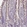 Anti-MYRFL Antibody