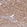 Anti-ZNF304 Antibody