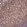 Anti-HNRNPC Antibody