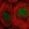 Anti-TBCK Antibody