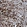 Anti-ABHD18 Antibody