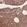 Anti-RPS17 Antibody