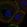 Anti-FLRT3 Antibody
