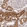 Anti-HAGH Antibody