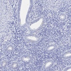 Immunohistochemical staining of human endometrium shows low expression as expected.