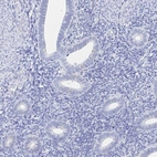 Immunohistochemical staining of human endometrium shows low expression as expected.