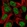 Anti-TNRC6C Antibody