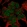 Anti-TBKBP1 Antibody