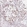 Anti-LMNB2 Antibody