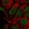 Anti-POLR2E Antibody