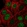 Anti-ZBTB42 Antibody