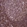 Anti-TBC1D10C Antibody