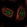 Anti-POLR2L Antibody