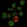 Anti-PDZD7 Antibody