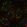 Anti-FAM222A Antibody