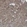 Anti-OCLN Antibody