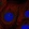 Anti-RASSF7 Antibody