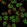 Anti-RFX5 Antibody