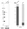 Anti-ALKBH8 Antibody