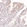 Anti-LCT Antibody