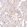 Anti-CDK19 Antibody