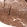 Anti-TFEB Antibody