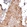 Anti-CMPK2 Antibody