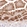 Anti-CMPK2 Antibody