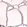 Anti-NKX2-1 Antibody