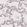 Anti-NKX2-1 Antibody